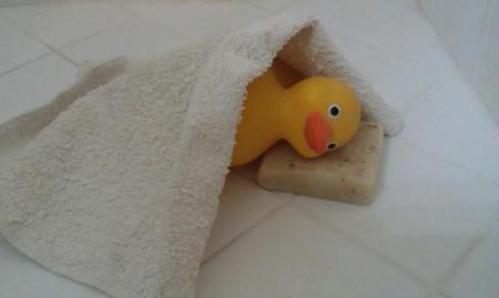 the Adventures of Naftali le Dux ( the rubber duck )