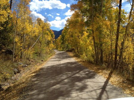 yellow leaf road / © / by: spider hacksaw - dark heart art / from: series: welcome to deadville / autumn 2014 /