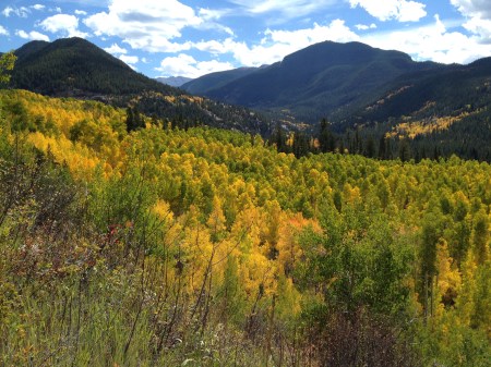 ancient avalon / © / by: spider hacksaw - dark heart art / from series: welcome to deadbille / autumn 2014 /