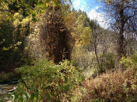 in this corner / © / by: spider hacksaw - dark heart art / from series: welcome to deadville / 2014 - autumn / 