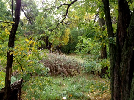 the green between / © / series: seven hills cemetery / by spider hacksaw / from: dark heart art / 2014
