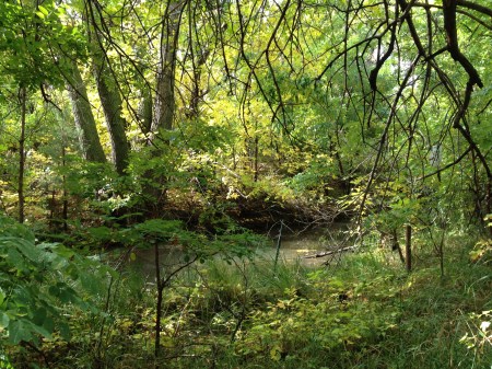 creaky creek / © / by: spider hacksaw