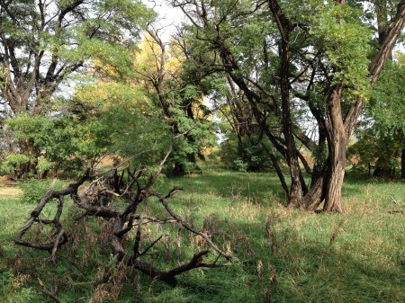 friends eternal / © / series: seven hills cemetery / by: spider hacksaw / from: dark heart art / 2014