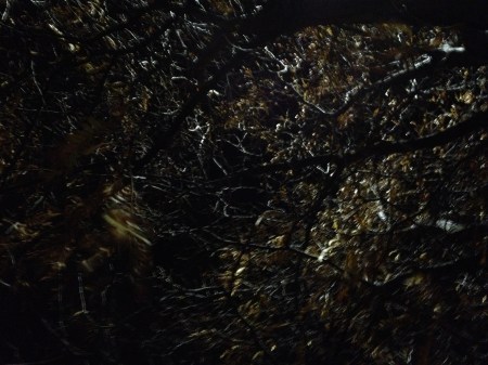 down twisted / series: lost in the dark all alone at night / by: spider hacksaw / from : dark heart art / 2014 / all rights reserved / ©