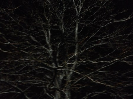 black will tree / series: lost in the dark all alone at night / by: spider hacksaw / from : dark heart art / 2014 / all rights reserved / ©
