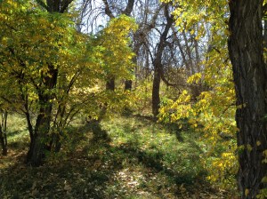 Psalm 23 - #11 / by: spider hacksaw & dark heart art / all rights reserved © 2014 