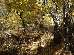 Psalm 23 - #18 / by: spider hacksaw & dark heart art / all rights reserved © 2014 