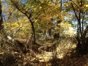 Psalm 23 - #21 / by: spider hacksaw & dark heart art / all rights reserved © 2014 