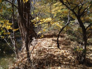 Psalm 23 - #22 / by: spider hacksaw & dark heart art / all rights reserved © 2014 