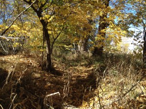 Psalm 23 - #7 / by: spider hacksaw & dark heart art / all rights reserved © 2014 