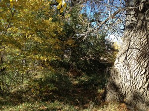 Psalm 23 - #4 / by: spider hacksaw & dark heart art / all rights reserved © 2014 