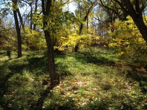 Psalm 23 - #9 / by: spider hacksaw & dark heart art / all rights reserved © 2014 