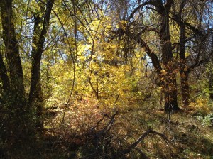 Psalm 23 - #15 / by: spider hacksaw & dark heart art / all rights reserved © 2014