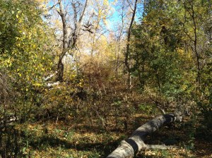 Psalm 23 - #14 / by: spider hacksaw & dark heart art / all rights reserved © 2014 