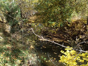 Psalm 23 - #6 / by: spider hacksaw & dark heart art / all rights reserved © 2014 