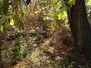 Psalm 23 - #16 / by: spider hacksaw & dark heart art / all rights reserved © 2014 