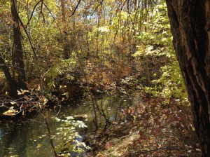 Psalm 23 - #12 / by: spider hacksaw & dark heart art / all rights reserved © 2014 