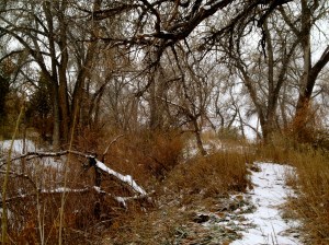 DYSTOPIA / Hank Cotton / © / by: spider hacksaw / http://www.amazon.com/dp/B0072BXJP8