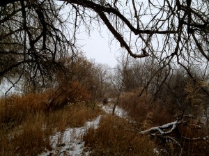 DYSTOPIA / Lock Crick / © / by: spider hacksaw / http://www.amazon.com/dp/B0072BXJP8