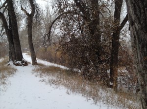 DYSTOPIA / Theodore Cote / © / by spider hacksaw / http://www.amazon.com/dp/B0072BXJP8