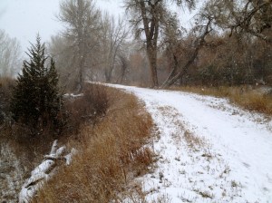 DYSTOPIA / ROADKILL / © / by: spider hacksaw / http://www.amazon.com/dp/B0072BXJP8