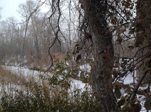 DYSTOPIA / Raven Cathmore / © / by: spider hacksaw / http://www.amazon.com/dp/B0072BXJP8