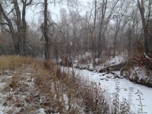 DYSTOPIA / Owen Poe / © / by: spider hacksaw / http://www.amazon.com/dp/B0072BXJP8