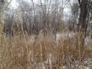 dystopia / 1 / spider hacksaw / © 2014 / http://www.amazon.com/dp/B0072BXJP8