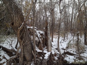 DYSTOPIA / Avon Pudge / © / by: spider hacksaw / http://www.amazon.com/dp/B0072BXJP8