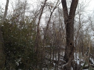 DYSTOPIA / Rory Cleary / © / by: spider hacksaw / http://www.amazon.com/dp/B0072BXJP8