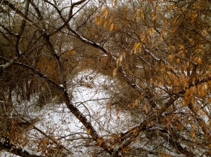 DYSTOPIA / Robin Catlin / © / by: spider hacksaw / http://www.amazon.com/dp/B0072BXJP8