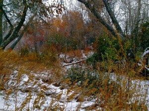 "and the sky is gray" / spider hacksaw / ©2014
