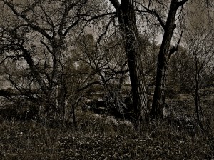 threadbare / spider hacksaw / ©2014