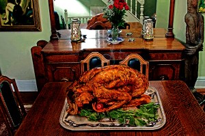 note: photograph is Percy Katt / owned by Percy Katt / spider hacksaw owns zero rights to Percy Katt's photo