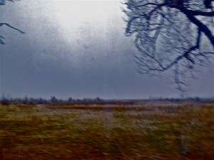 and the sky is gray (6) / spider hacksaw /©2014