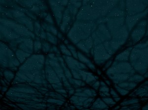 it came from outer space / spider hacksaw / ©2015