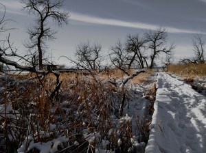 ambulans domum / spider hacksaw / ©2015