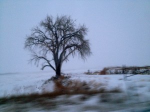 MOD 1 (Memories Of Distopia) / spider hacksaw / ©2015