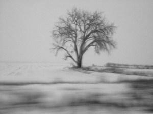 MOD 6 (Memories Of Distopia) / spider hacksaw / ©2015