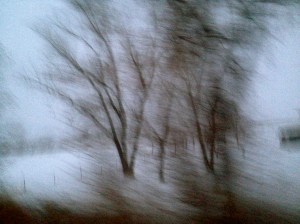 MOD 3 (Memories Of Distopia) / spider hacksaw / ©2015