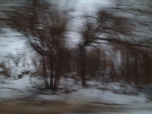 MOD 5 (Memories Of Distopia) / spider hacksaw / ©2015