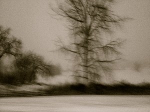 MOD 2 (Memories Of Distopia) / spider hacksaw / ©2015