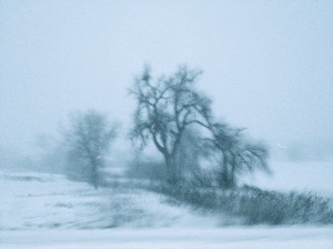 white out / spider hacksaw / ©2015